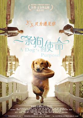 亚洲视频第二页