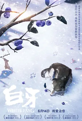 欧洲日韩视频二区在线