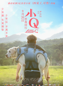 我才是岚岚麻将桌