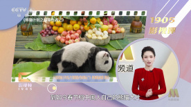 男生穿三角连体服的感觉